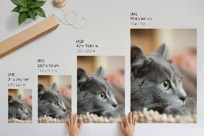 Art print gray cat with green eyes close up