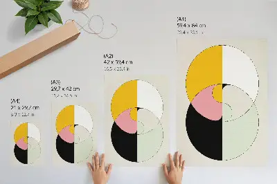 Premium wall art geometric circles in contrasting minimalist colors