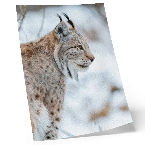 Decorative poster featuring a scenic view of Rysy mountain in winter with natural color harmony