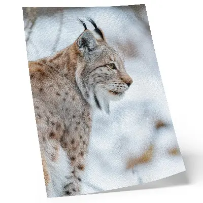 Decorative poster featuring a scenic view of Rysy mountain in winter with natural color harmony