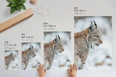 Decorative poster featuring a scenic view of Rysy mountain in winter with natural color harmony