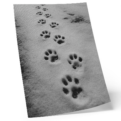Premium wall art Paw prints in white snow a hint of mystery