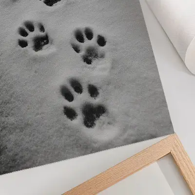 Premium wall art paw prints in white snow with a hint of mystery