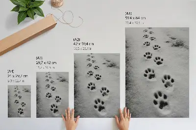 Premium wall art paw prints in white snow with a hint of mystery