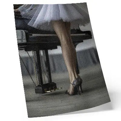Ballerina at the Piano decorative poster elegance and delicacy