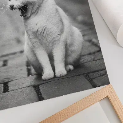 Poster featuring an adorable cat on a cobblestone street in black and white