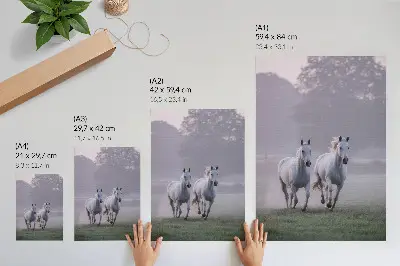 Decorative poster white horses in the morning fog with a nature theme