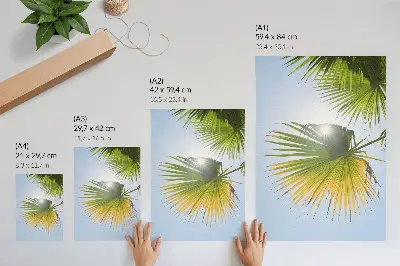 Poster palm leaves on a blue background with sunlight
