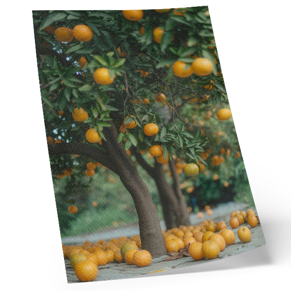 Decorative poster Juicy oranges on a tree in a green orchard