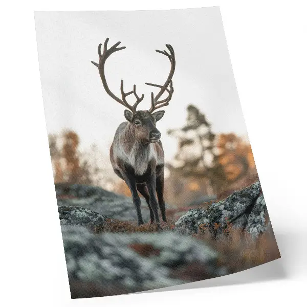 Decorative poster deer against a backdrop of rocks and trees in an autumn landscape