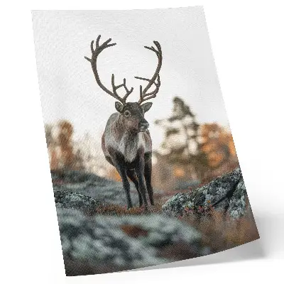 Decorative poster deer against a backdrop of rocks and trees in an autumn landscape