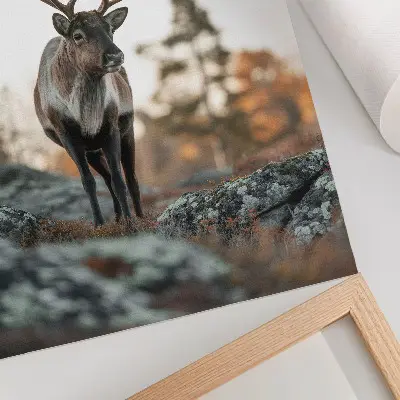 Decorative poster deer against a backdrop of rocks and trees in an autumn landscape