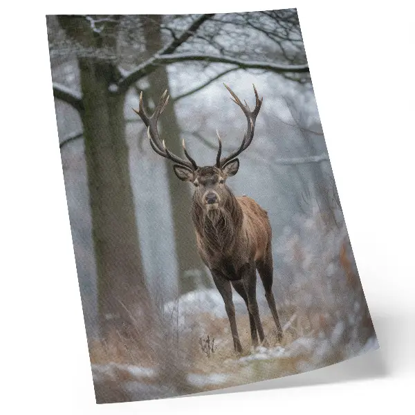 Art print majestic deer in a winter forest in shades of gray