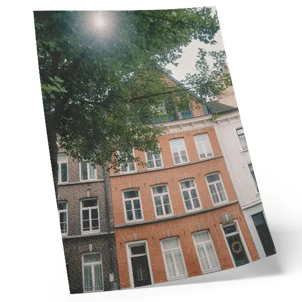 Premium wall art colorful facades with green trees under a sunny sky