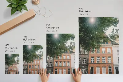 Premium wall art colorful facades with green trees under a sunny sky