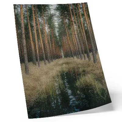 Decorative poster featuring a simple forest scenery with tall trees and symmetry