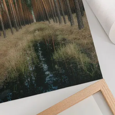 Decorative poster featuring a simple forest scenery with tall trees and symmetry
