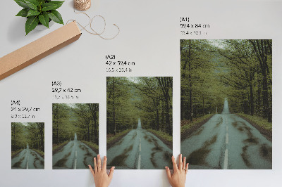 Decorative poster Forest road peace green adventure mystery
