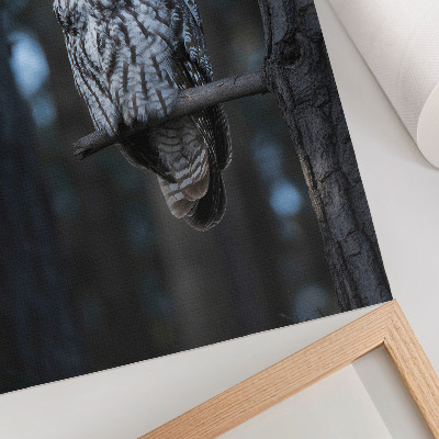 Poster Dark forest owl in the spotlight