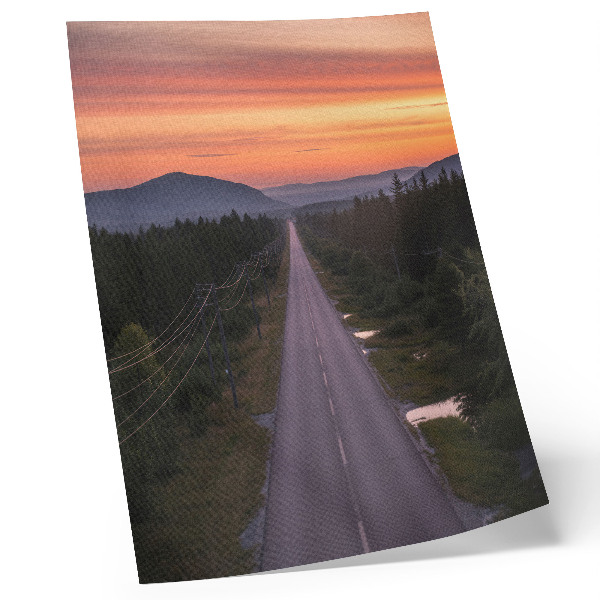 Poster A straight road through the forest in a pastel sunset