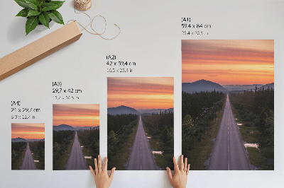 Poster A straight road through the forest in a pastel sunset
