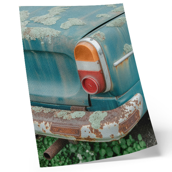 Decorative poster Car covered in moss, rust, turquoise color
