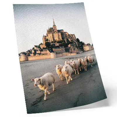 Poster featuring a peaceful landscape with a castle, hills, sheep, and sand