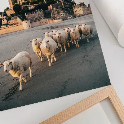 Poster featuring a peaceful landscape with a castle, hills, sheep, and sand