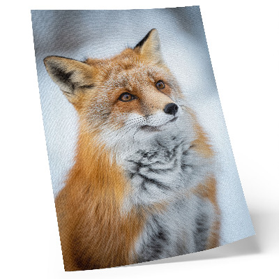 Art print Portrait of a cheerful fox in a winter setting