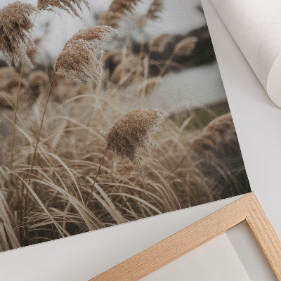 Poster Delicate blades of grass brown gray atmosphere of nature
