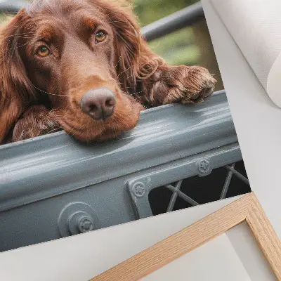 Premium wall art brown dog by the vehicle with green trees