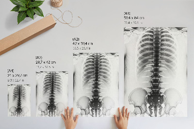 Premium wall art Skeleton in black and white