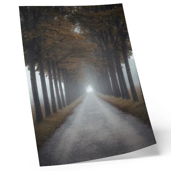 Poster autumn alley with symmetrical fog composition