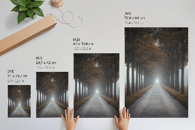 Poster Autumn alley fog symmetrical harmonious composition