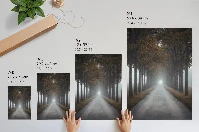 Poster autumn alley with symmetrical fog composition