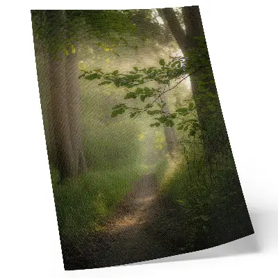 Art print green leaves, beam of light, and forest path