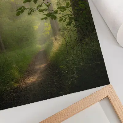 Art print green leaves, beam of light, and forest path