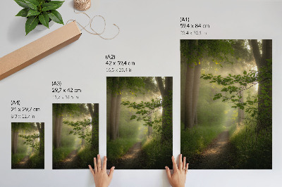 Art print Green leaves, beam of light, forest path
