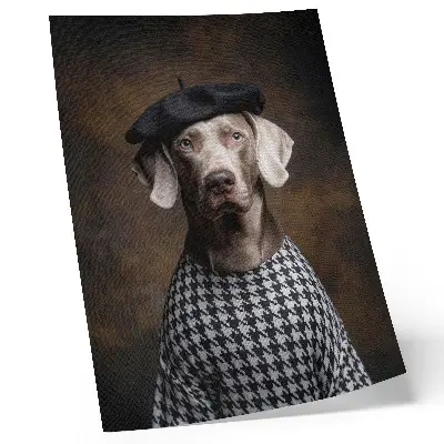 Dog in a beret patterned vest decorative poster elegance pattern