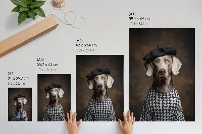Dog in a beret patterned vest decorative poster elegance pattern
