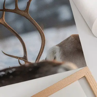 Poster reindeer with antlers in a winter landscape