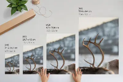 Poster reindeer with antlers in a winter landscape