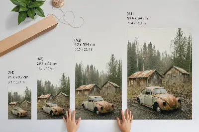 Premium wall art featuring a rusty car near a wooden shed in a green forest