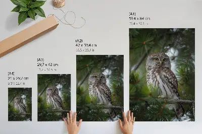 Decorative poster owl on a pine branch with a theme of nature, peace, and harmony