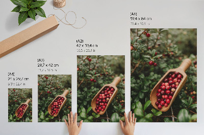 Decorative poster Vibrant colors of leaves and fruit in a wooden shovel