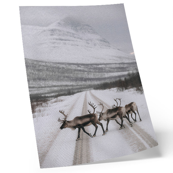 Art print Reindeer on a snowy road among the mountains, winter background