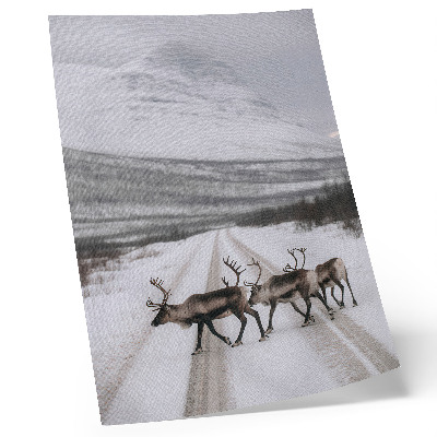 Art print Reindeer on a snowy road among the mountains, winter background