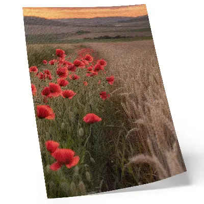 Decorative poster featuring a peaceful poppies sunset in harmonious colors
