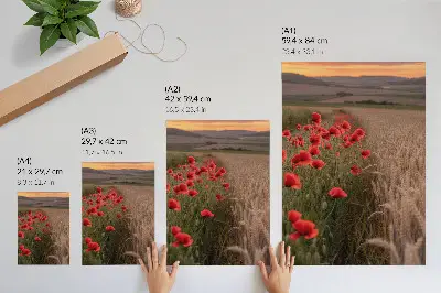 Decorative poster featuring a peaceful poppies sunset in harmonious colors