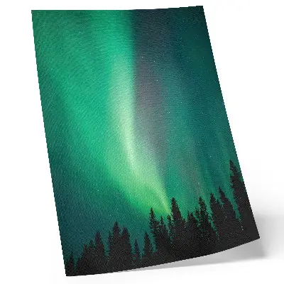 Decorative poster aurora green trees magical nature forest scene